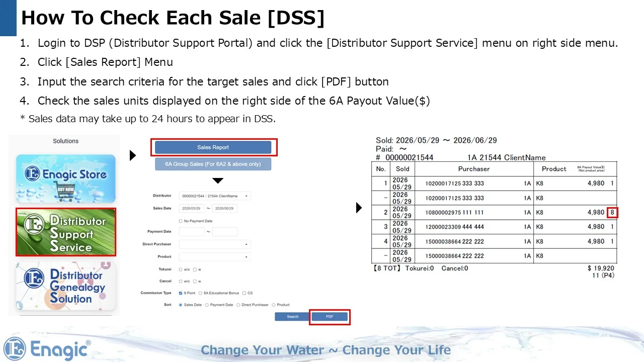 How to check each sale in DSS during the Enagic June 2026 campaign